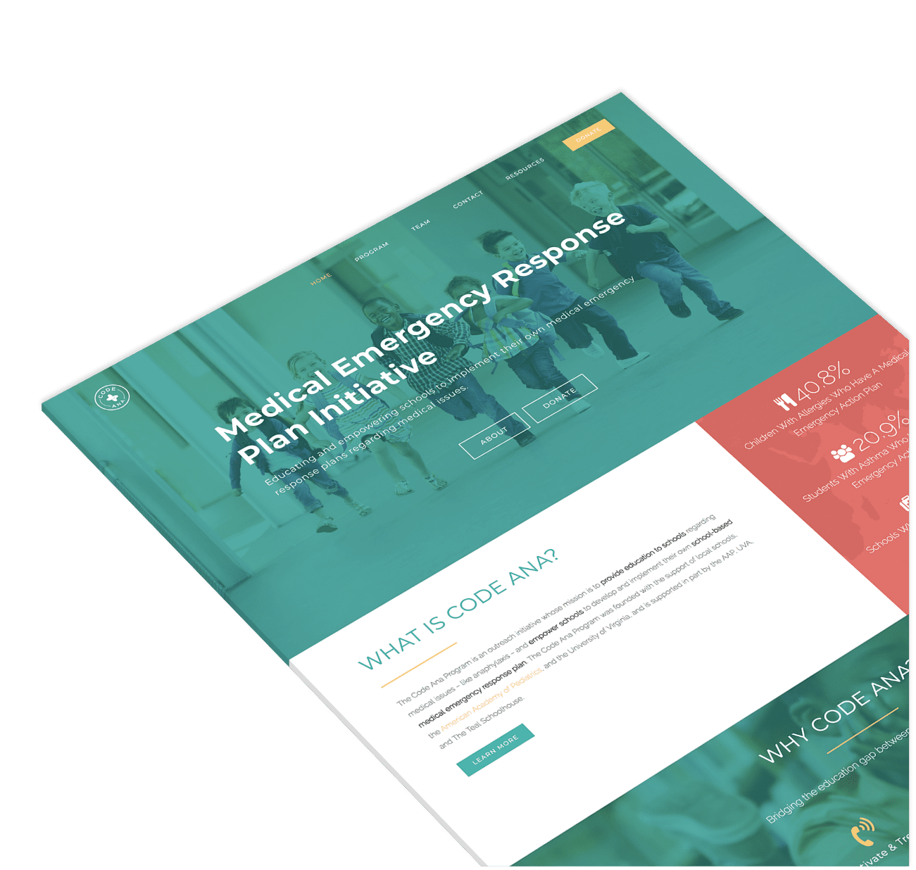 CodeAna-Portfolio